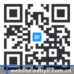 系统版 iOS 二维码